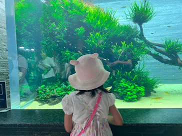 すみだ水族館に投稿された画像（2023/7/2）