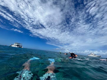 Sea World（シーワールド）に投稿された画像（2023/7/2）