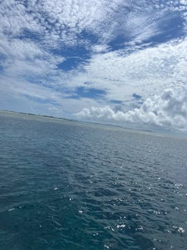 Sea World（シーワールド）に投稿された画像（2023/7/2）