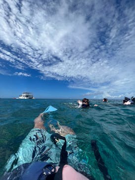 Sea World（シーワールド）に投稿された画像（2023/7/2）