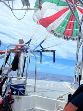 Sea World（シーワールド）に投稿された画像（2023/7/2）