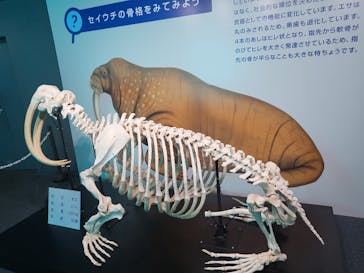 鴨川シーワールドに投稿された画像（2023/7/2）