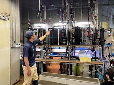 城崎マリンワールドに投稿された画像（2023/7/2）