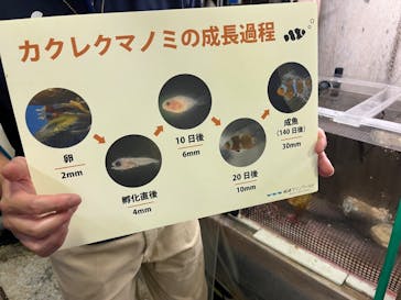 城崎マリンワールドに投稿された画像（2023/7/2）