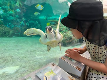 鴨川シーワールドに投稿された画像（2023/7/2）