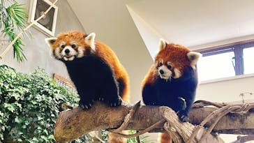 那須どうぶつ王国に投稿された画像（2023/7/2）