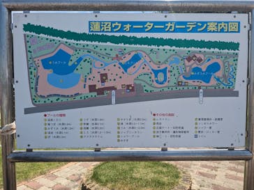 蓮沼ウォーターガーデンに投稿された画像（2023/7/3）