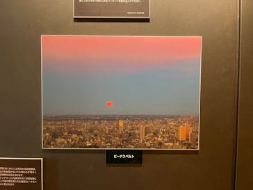 サンシャイン60展望台に投稿された画像（2023/7/3）