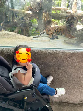 神戸どうぶつ王国に投稿された画像（2023/7/3）