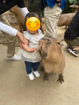 神戸どうぶつ王国に投稿された画像（2023/7/3）