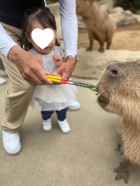 神戸どうぶつ王国に投稿された画像（2023/7/3）