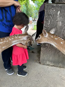 神戸どうぶつ王国に投稿された画像（2023/7/3）