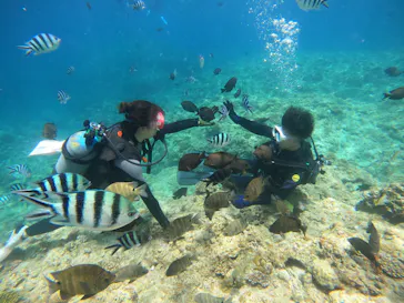 武藤潜水に投稿された画像（2023/7/3）