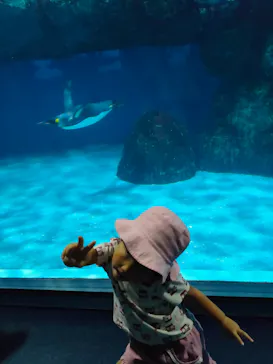 横浜・八景島シーパラダイスに投稿された画像（2023/7/3）