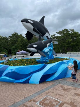 鴨川シーワールドに投稿された画像（2023/7/3）