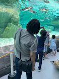 天王寺動物園に投稿された画像（2023/7/3）