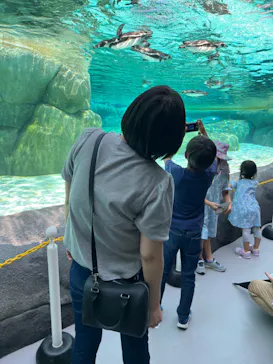 天王寺動物園に投稿された画像（2023/7/3）