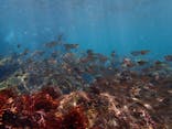 Deeva OCEAN FIELD 熱海に投稿された画像（2023/7/3）