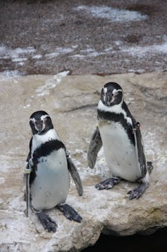 アクアワールド茨城県大洗水族館に投稿された画像（2023/7/3）