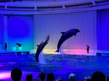 アクアワールド茨城県大洗水族館に投稿された画像（2023/7/3）