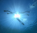 青の洞窟専門店　沖縄ダイビングショップ和に投稿された画像（2023/7/3）