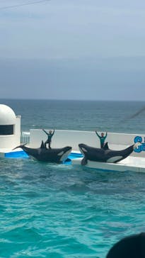 鴨川シーワールドに投稿された画像（2023/7/3）