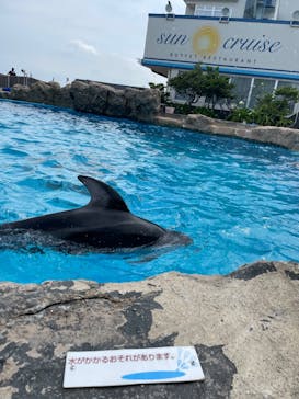 鴨川シーワールドに投稿された画像（2023/7/3）