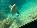 名古屋港水族館に投稿された画像（2023/7/3）