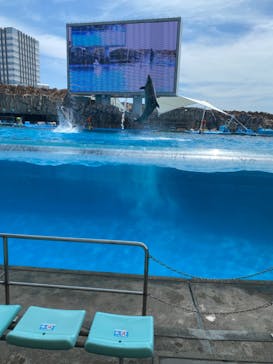 名古屋港水族館に投稿された画像（2023/7/3）