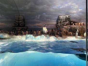 名古屋港水族館に投稿された画像（2023/7/3）