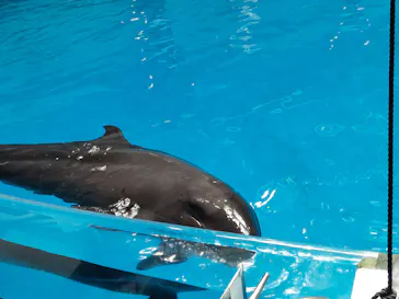 マクセル アクアパーク品川に投稿された画像（2023/7/3）