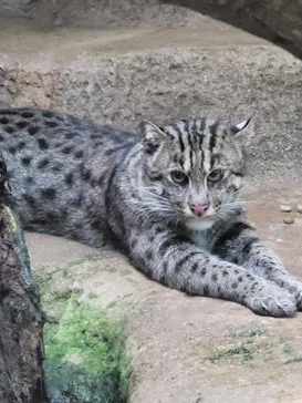 神戸どうぶつ王国に投稿された画像（2023/7/3）