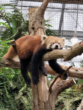 神戸どうぶつ王国に投稿された画像（2023/7/3）