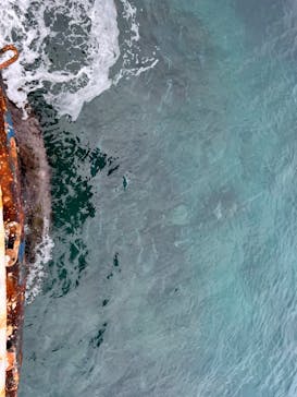 串本海中公園水族館に投稿された画像（2023/7/3）