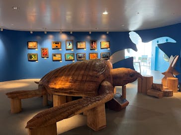 串本海中公園水族館に投稿された画像（2023/7/3）