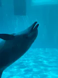 名古屋港水族館に投稿された画像（2023/7/3）