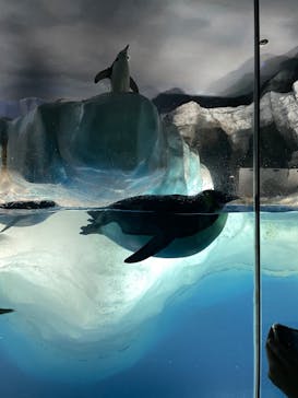 名古屋港水族館に投稿された画像（2023/7/3）