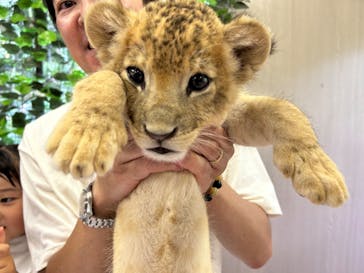 しろとり動物園に投稿された画像（2023/7/3）