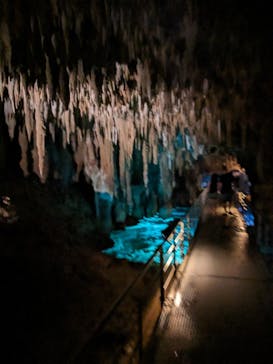 おきなわワールドに投稿された画像（2023/7/3）