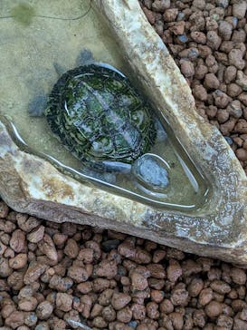 おきなわワールドに投稿された画像（2023/7/3）