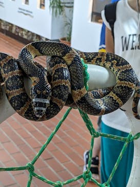 おきなわワールドに投稿された画像（2023/7/3）