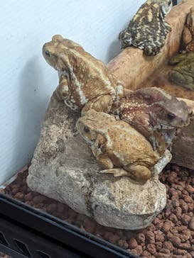 おきなわワールドに投稿された画像（2023/7/3）