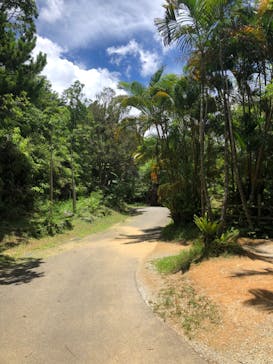 ネオパークオキナワに投稿された画像（2023/7/3）