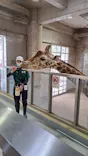 よこはま動物園ズーラシアに投稿された画像（2023/7/3）
