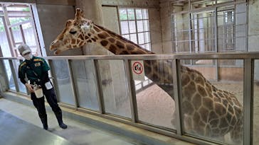 よこはま動物園ズーラシアに投稿された画像（2023/7/3）