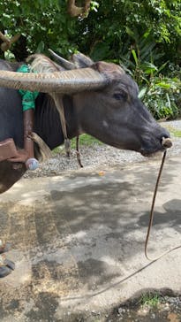 ビオスの丘に投稿された画像（2023/7/3）