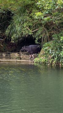 ビオスの丘に投稿された画像（2023/7/3）