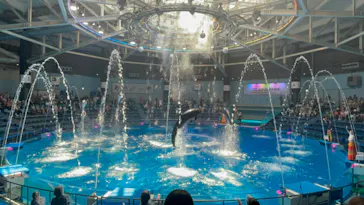 マクセル アクアパーク品川に投稿された画像（2023/7/3）