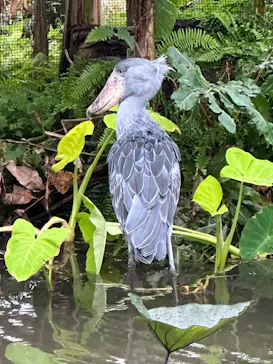 神戸どうぶつ王国に投稿された画像（2023/7/3）