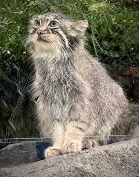 神戸どうぶつ王国に投稿された画像（2023/7/3）